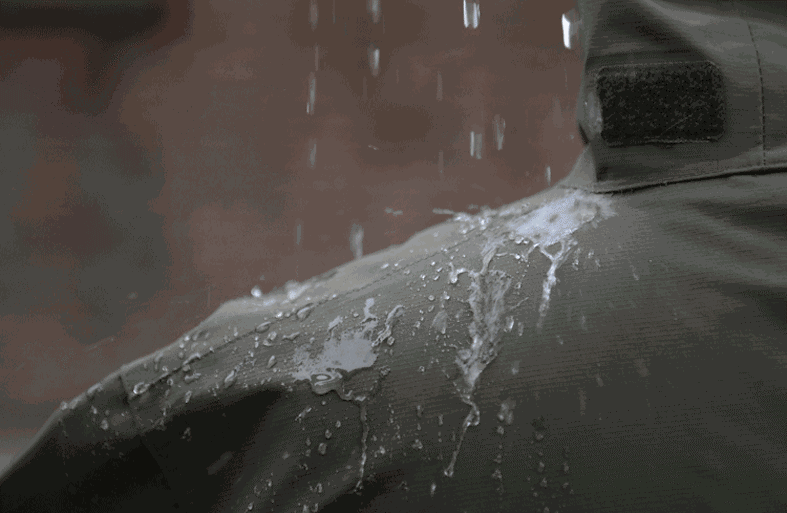 555.gif
